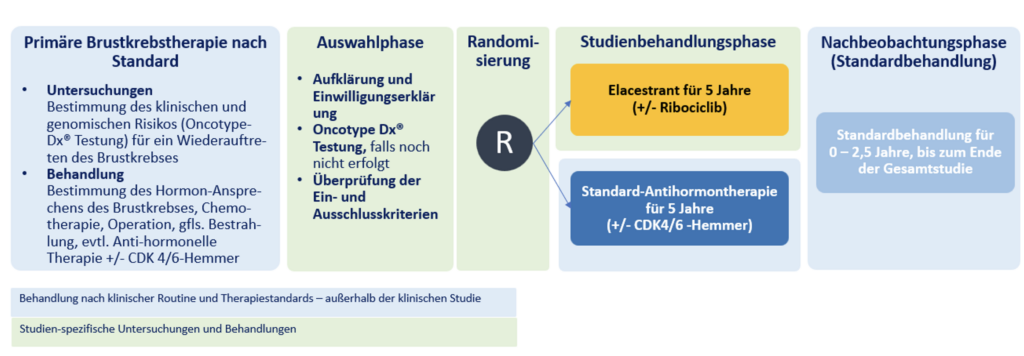 Flowchart: Patienten mit HR+ Her2- frühem Mammakarzinom mit abgeschlossener Primärtherapie, mittleres bis hohes Rückfallrisiko, N0-N1.