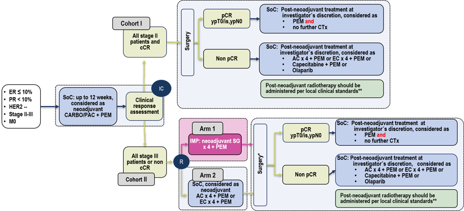 ADAPT-TN-IV: Studienschema mit Kohorte I und Kohorte II